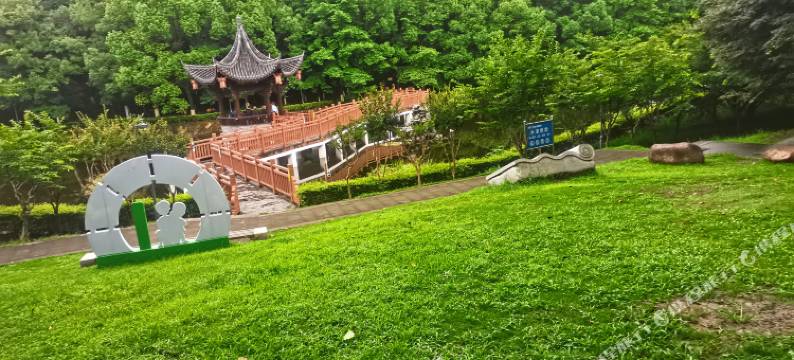 金阳光大酒店(缙云县政府店)图片