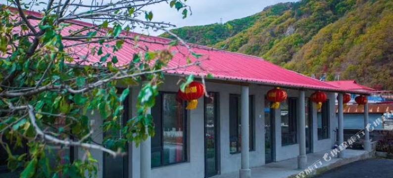 洋湖沟枫韵农家院图片