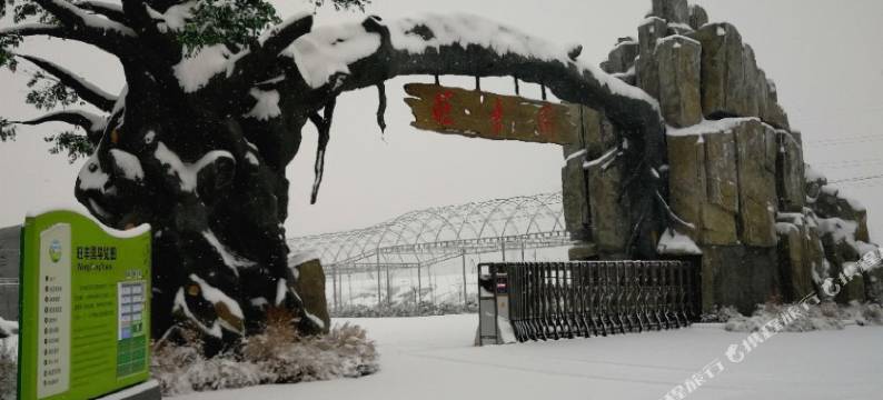 旺丰园农庄图片