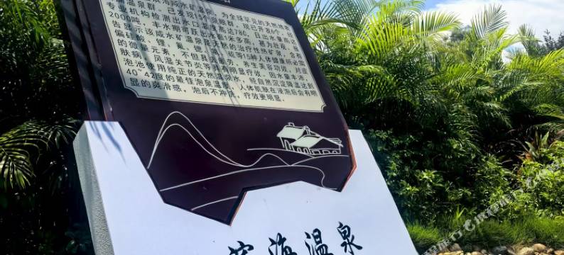 阳西滨海咸水矿温泉酒店图片