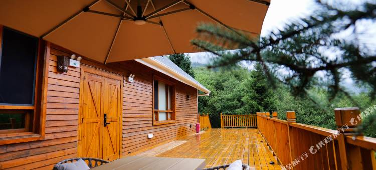 王朗大熊猫探秘营地图片