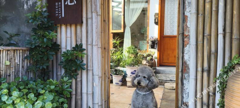 襄阳若隐民宿(襄阳古城仲宣楼店)图片