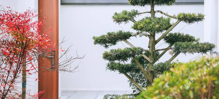 蓝城桃花源温泉合院(洪湖店)图片