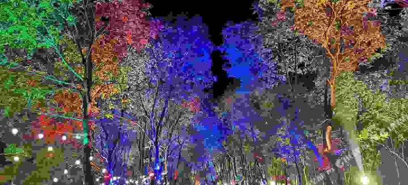 清远枫林小舍图片