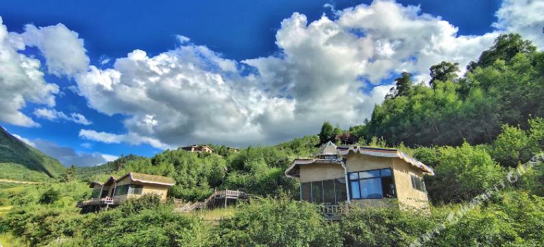 卓尼格尔康康养森林酒店图片