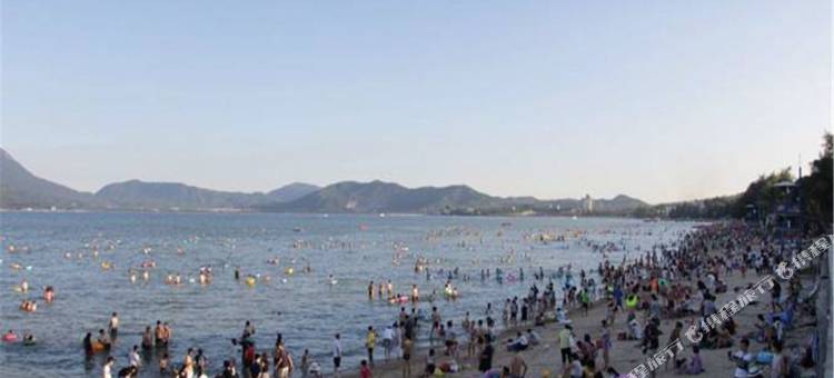 深圳较场尾雅舍民宿图片