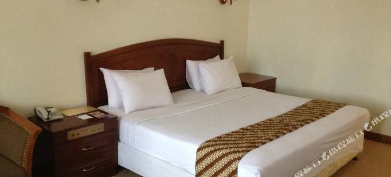 Sany Rosa Hotel Bandung图片