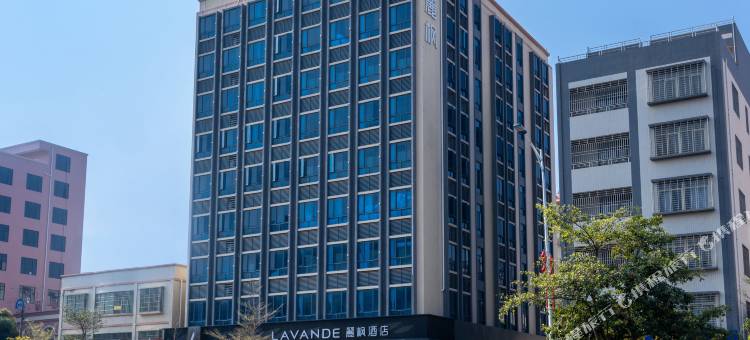 麗枫酒店(湛江高铁西站店)图片