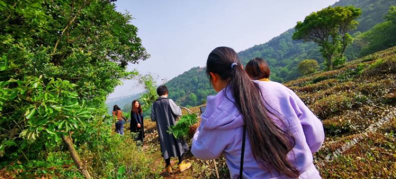 苏州泉沐山舍图片