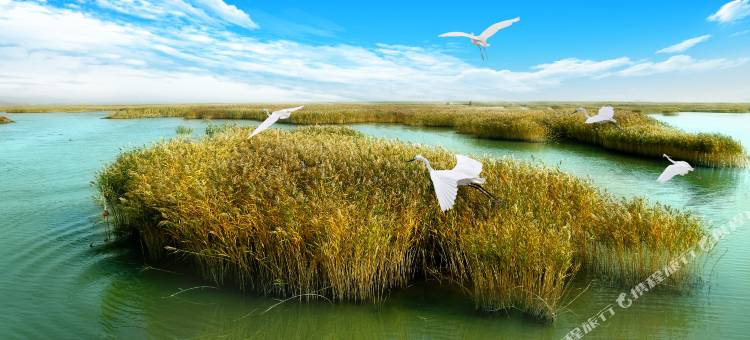 锦州凌海东方温泉酒店图片