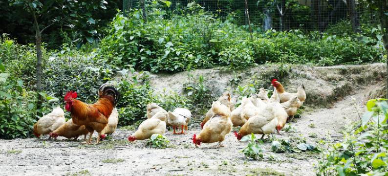 衡阳南岳半山腰永红民宿图片