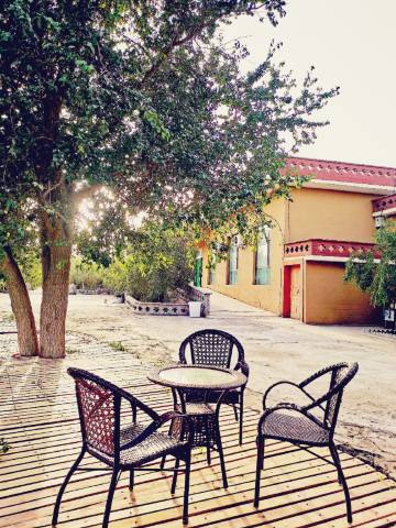 楼兰羌调民宿(楼兰博物馆店)