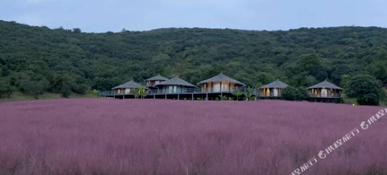 常州修心民宿图片