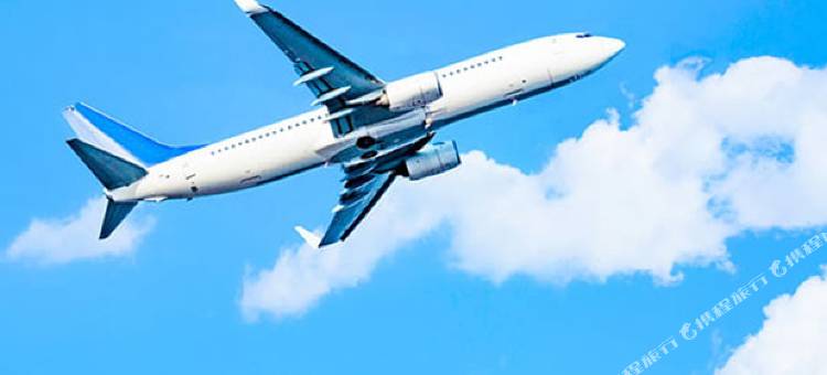 利夫马克斯酒店-千叶站前店(HOTEL LiVEMAX Chiba Ekimae)图片