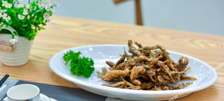 抚顺三十三夏校园民宿图片