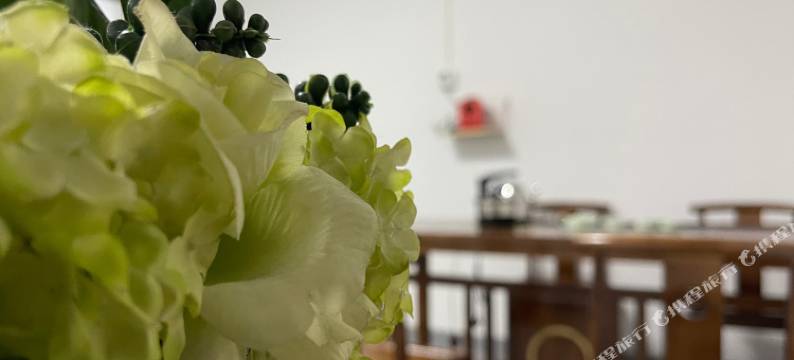 梧桐商务公寓(深圳坪山高铁站店)图片