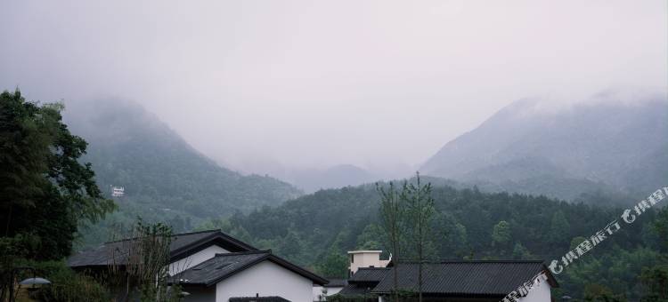 寄麓·植物私塾(赣州店)图片