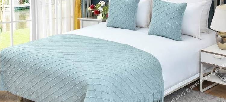 布丁酒店(成都二环路西三段蜀汉路东地铁站店)图片