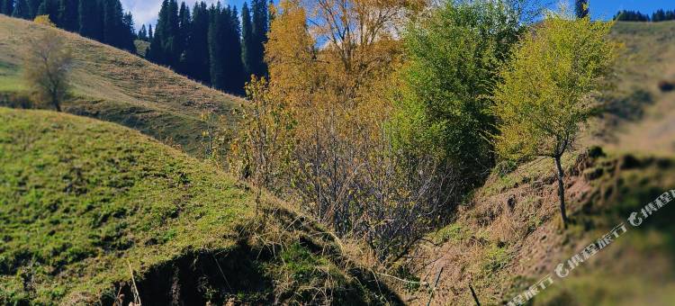 那拉提青布拉克民宿图片