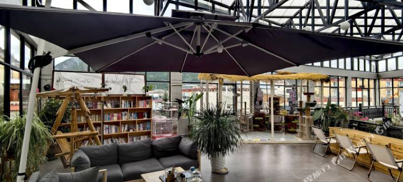 花语·猫咖供氧设计师民宿(香格里拉独克宗古城店)图片