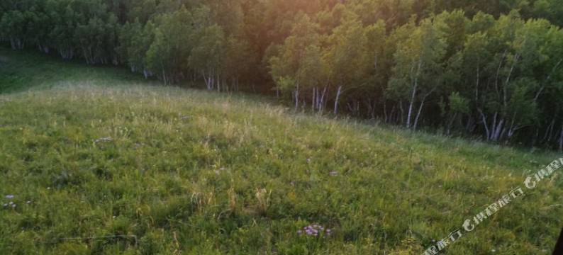 乌兰布统佰纳彩民俱乐部图片