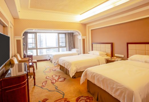 Vienna Hotel (Shenzhen Songgang Liye Road) Hotel Overview