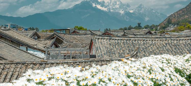 听花堂私人花园客栈(丽江蝶语店)图片