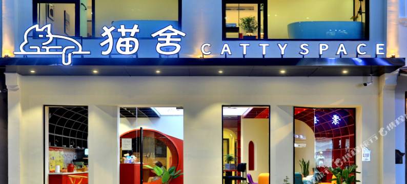 乌镇西栅猫舍CATTY SPACE民宿图片