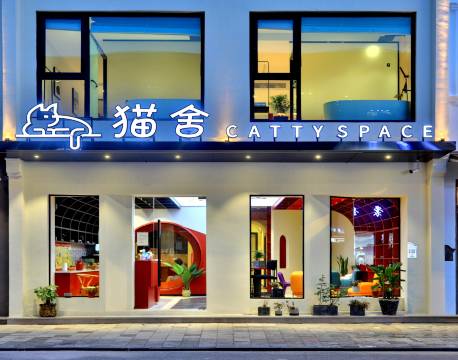 乌镇西栅猫舍CATTY SPACE民宿