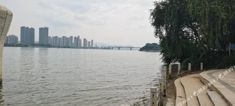 清远雅居茗宿图片