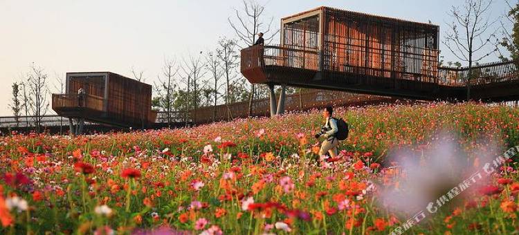 衢州金麦子酒店图片