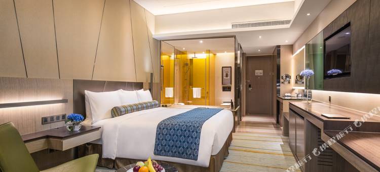 上海宝龙丽笙酒店图片