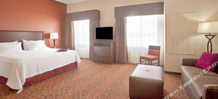 希尔顿欢朋套房酒店-明尼亚波利斯圣保罗机场(Hampton Inn & Suites Minneapolis-St.Paul-Airport)图片