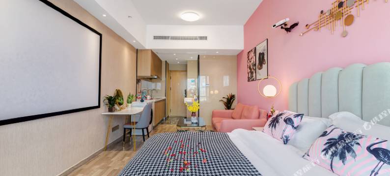 南京乐可公寓图片