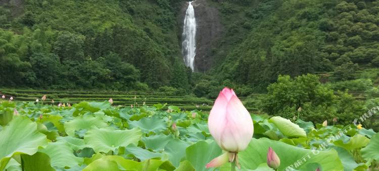 花筑·武义青枫谷民宿图片