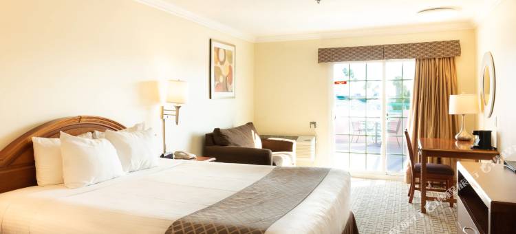 温德姆旗下圣莫妮卡戴斯酒店(Days Inn by Wyndham Santa Monica)图片