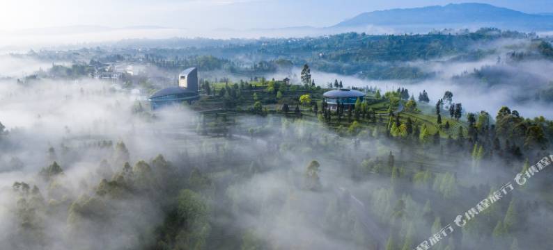 洪雅锦江青杠坪·茶客空间民宿图片
