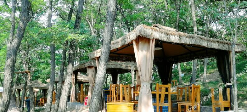 中牟雁鸣蟹岛森林温泉酒店图片