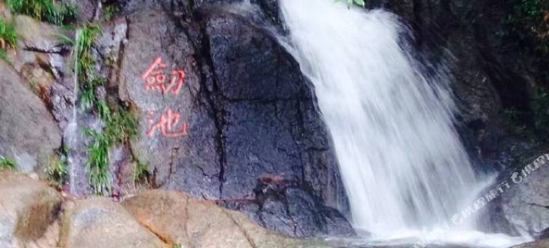 莫干山杜月笙公馆.柏野民宿图片