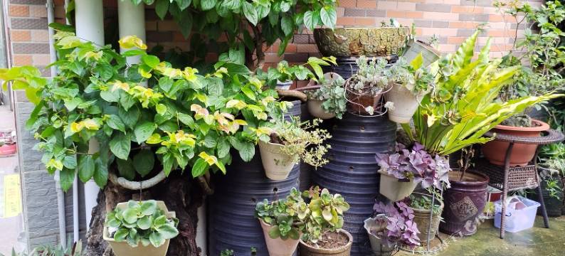 好时光民宿(桔钓沙杨梅坑店)图片