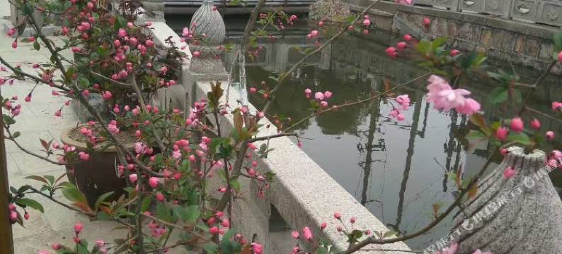 周庄这些年依水阁客栈图片