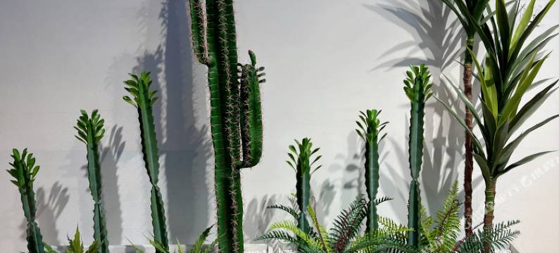 青牧元居(茶卡店)图片