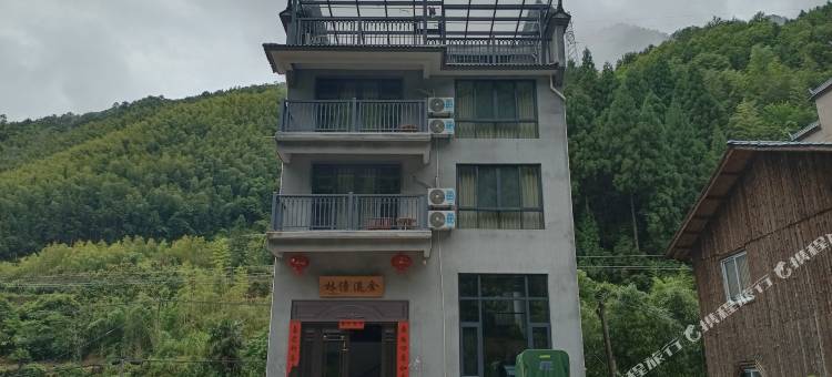 松阳林傍溪舍民宿图片