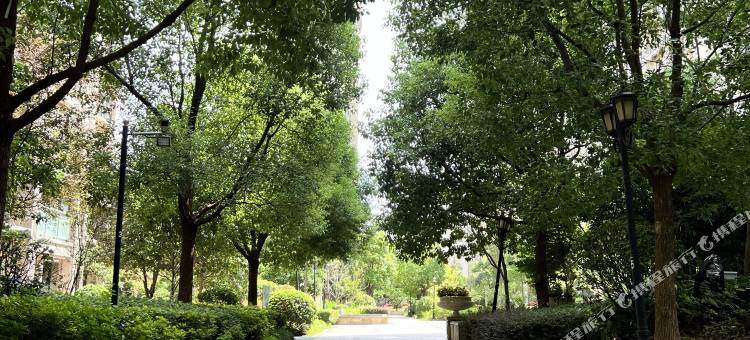魔都公寓图片