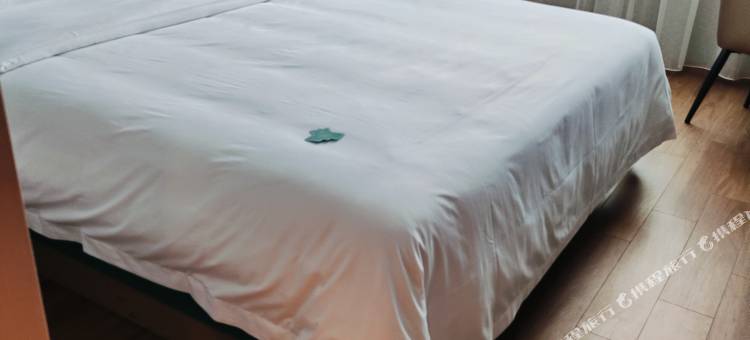 白玉兰酒店(黄骅迎宾大街店)图片