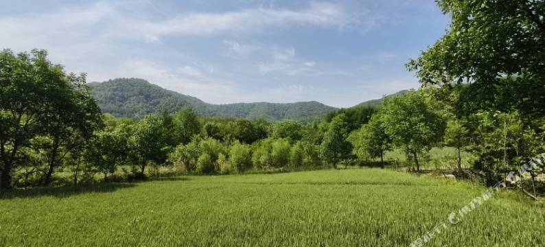 麦积山逸居民宿图片