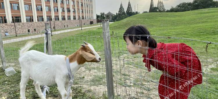 嘉兴清池温泉酒店图片