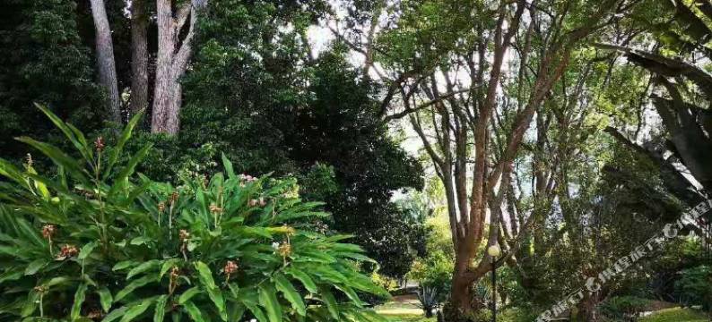 五指山旅游山庄图片