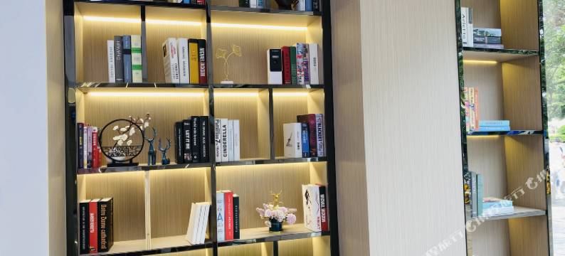 瑞廷精品酒店(深圳宝安万达广场店)图片