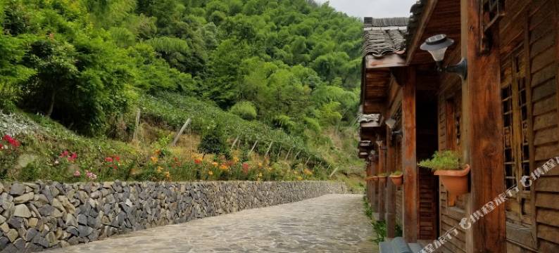 桐庐雪庐民宿图片
